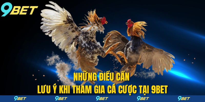 Những điều cần lưu ý khi tham gia cá cược tại 9bet